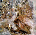 Eifel Mineralien Bellerberg Pyroxen