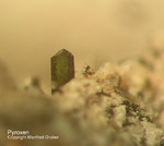 Eifel Mineralien Bellerberg Pyroxen
