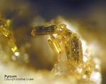 Eifel Mineralien Bellerberg Pyroxen