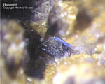 Eifel Mineralien Emmelberg Haematit