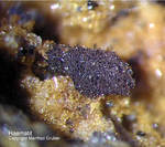 Eifel Mineralien Emmelberg Haematit