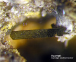 Eifel Mineralien Emmelberg Haematit