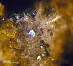 Eifel Mineralien Emmelberg Haematit