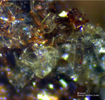 Eifel Mineralien Emmelberg Korund