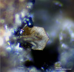 Eifel Mineralien Emmelberg Korund