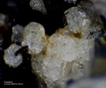 Eifel Mineralien Hannebacher Ley Chabasit