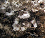 Eifel Mineralien Mendig Aragonit