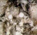 Eifel Mineralien Mendig Aragonit