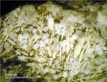 Eifel Mineralien Mendig Aragonit