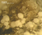 Eifel Mineralien Mendig Aragonit