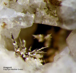 Eifel Mineralien Mendig Aragonit