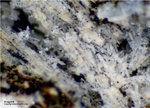 Eifel Mineralien Mendig Aragonit