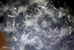 Eifel Mineralien Mendig Aragonit