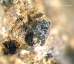Eifel Mineralien Mendig Augit