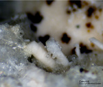 Eifel Mineralien Mendig Cancrinit