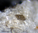 Eifel Mineralien Mendig Monazit