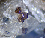 Eifel Mineralien Mendig Tephroit