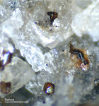 Eifel Mineralien Mendig Tephroit