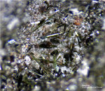 Eifel Mineralien Nickenicher Sattel Aegirin