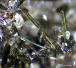 Eifel Mineralien Nickenicher Sattel Aegirin