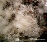 Eifel Mineralien Nickenicher Sattel Aragonit