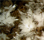 Eifel Mineralien Nickenicher Sattel Aragonit