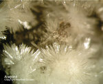 Eifel Mineralien Nickenicher Sattel Aragonit