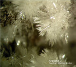 Eifel Mineralien Nickenicher Sattel Aragonit