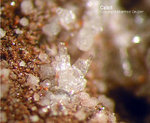 Eifel Mineralien Nickenicher Sattel Calcit