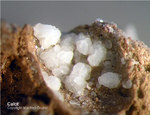 Eifel Mineralien Nickenicher Sattel Calcit