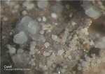 Eifel Mineralien Nickenicher Sattel Calcit