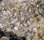 Eifel Mineralien Nickenicher Sattel Calcit