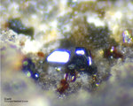 Eifel Mineralien Nickenicher Sattel Dorrit
