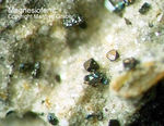 Eifel Mineralien Nickenicher Sattel Magnesioferrit
