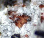 Eifel Mineralien Nickenicher Sattel Olivin