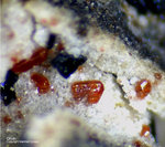 Eifel Mineralien Nickenicher Sattel Olivin