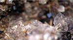 Eifel Mineralien Nickenicher Sattel Sanidin