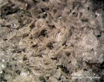 Eifel Mineralien Nickenicher Sattel Sanidin