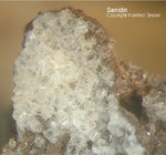 Eifel Mineralien Nickenicher Sattel Sanidin