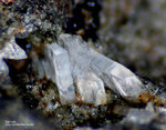 Eifel Mineralien Nickenicher Sattel Sanidin