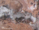 Eifel Mineralien Nickenicher Sattel Rutil