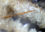 Eifel Mineralien Nickenicher Sattel Rutil