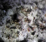 Eifel Mineralien Nickenicher Sattel Tridymit