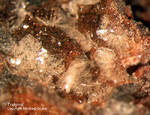 Eifel Mineralien Nickenicher Sattel Tridymit