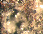 Eifel Mineralien Nickenicher Sattel Tridymit