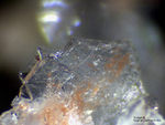 Eifel Mineralien Nickenicher Sattel Tridymit