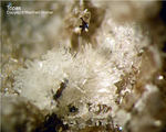 Eifel Mineralien Niveligsberg Topas