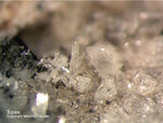 Eifel Mineralien Niveligsberg Topas