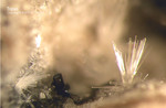 Eifel Mineralien Niveligsberg Topas