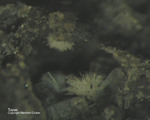 Eifel Mineralien Niveligsberg Topas